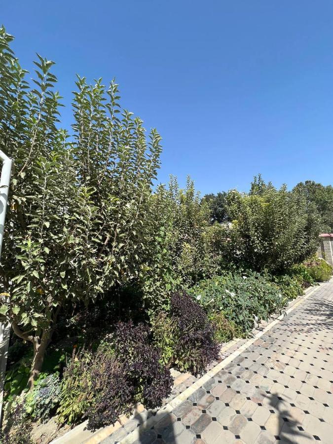 Stariy Marokand Σαμαρκάνδη Εξωτερικό φωτογραφία